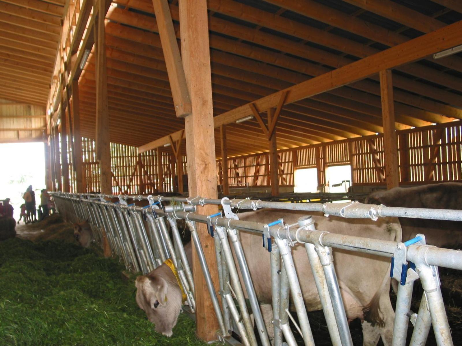 Heiterhof Βίλα Eichberg Εξωτερικό φωτογραφία